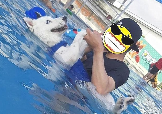 主人家带小狗去游水，哪想二哈忽然飘在河面上：您它是卡死了？