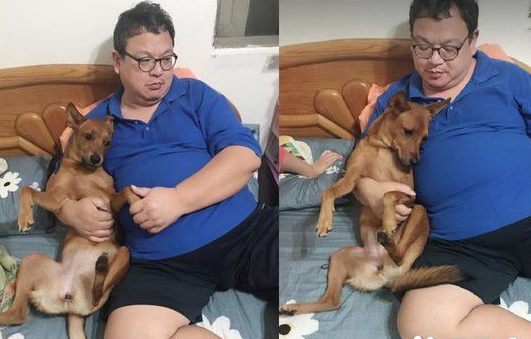 2岁米克斯是爸爸的女儿 完全就是地表上最强小三
