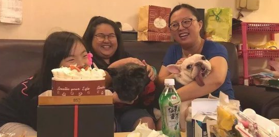 斗牛犬凭着一条不知道从哪租来的舌头，提前准备刚开始C位出道了？