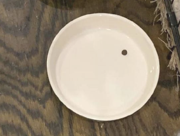 主人把药粒混入狗粮里骗狗吃,想不到它就留颗药在碗里 主人把药粒混入狗粮里骗狗吃,想不到它就留颗药在碗里