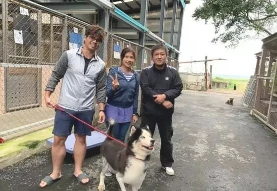 哈士奇咬死上百只鸡,缘故让人辛酸!