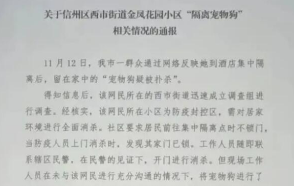 主人隔离,宠物疑被扑杀?官方回应:涉事人员已被调岗并责令道歉