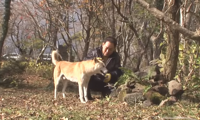 邻居家的狗总远眺远处,男子本认为是无聊,了解后鼻尖由不得酸酸的 邻居家的狗总远眺远处,男子本认为是无聊,了解后鼻尖由不得酸酸的