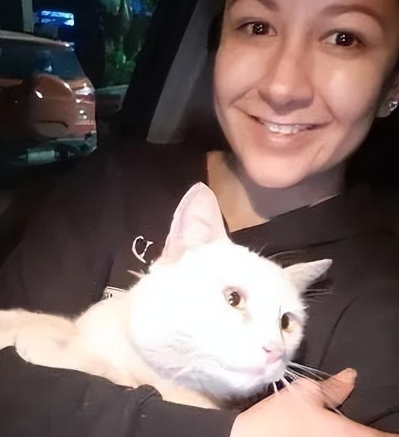 断尾流浪猫在超市门前骗吃骗喝，最后…直接骗到了一个家