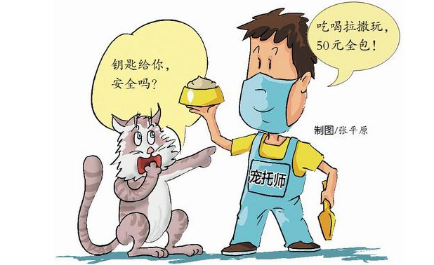 上门帮喂猫代遛狗!职业“宠托师” 您敢托付吗?律师提醒来了 上门帮喂猫代遛狗!职业“宠托师” 您敢托付吗?律师提醒来了