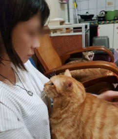 不哭不哭 眼泪是珍珠!生病橘猫看到药袋泛泪 不哭不哭 眼泪是珍珠!生病橘猫看到药袋泛泪