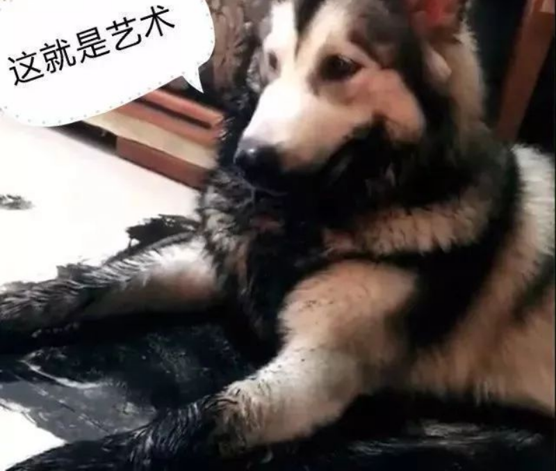 这只阿拉斯加火了,趁主人不在家用沾满墨水的狗毛在地创作了一幅阿拉斯加大师 这只阿拉斯加火了,趁主人不在家用沾满墨水的狗毛在地创作了一幅阿拉斯加大师