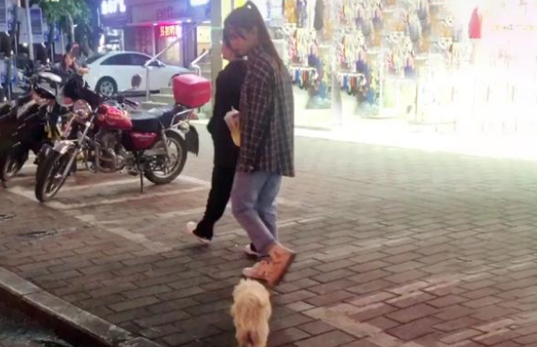 因为两根热狗，流浪狗追随小姐姐几条街，还好它遇到了一群小仙女