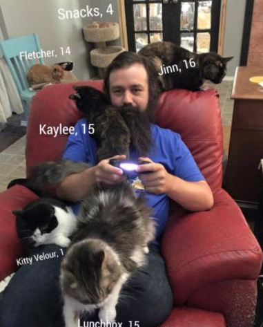 爱猫男子创办猫咪收容之家 让老猫们有一个温暖的家