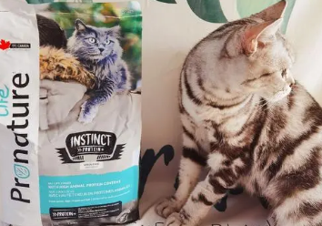 枫趣猫粮怎么样 枫趣猫粮怎么样