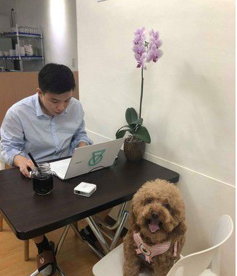 贵宾美人鱼造型超吸精 可爱模样像是一名婴儿