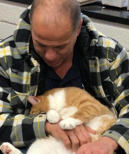超委屈!三岁橘猫因为太粘人 惨遭主人弃养 超委屈!三岁橘猫因为太粘人 惨遭主人弃养