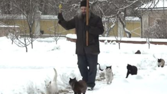 跟在神职者身后排队祈福 俄罗斯猫咪们好虔诚