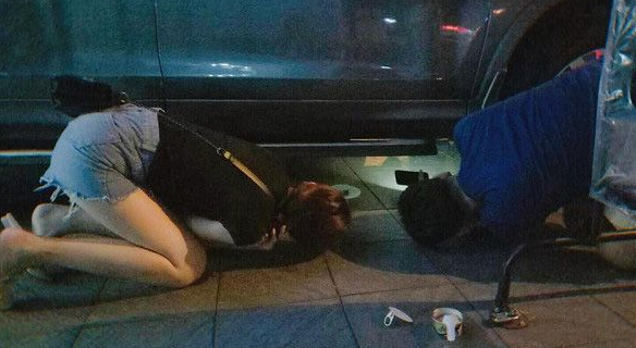 本宫乏了 喵皇贵妃躺等伺候霸气十足 本宫乏了 喵皇贵妃躺等伺候霸气十足