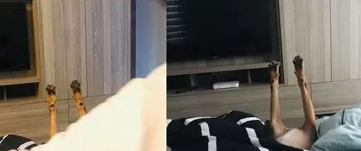 狗狗阿姨带小孩子，第二天入睡跟丧尸一样，腿直直抬起