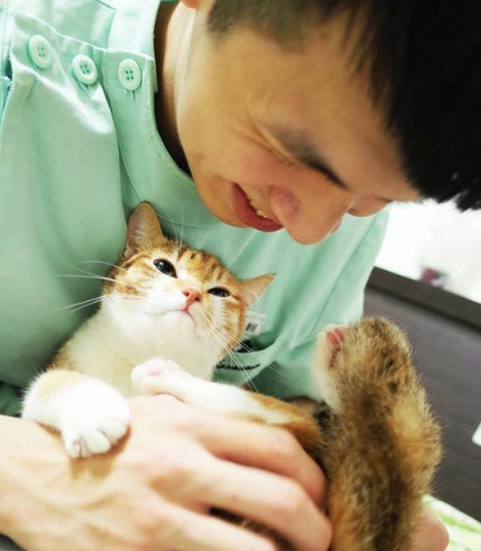 温暖!治愈犬和爱人猫的大家庭 有故事的一狗三猫 温暖!治愈犬和爱人猫的大家庭 有故事的一狗三猫