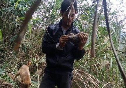 乡村土狗上山挖地洞，挖到一只小胖子家伙，让狗主人家乐得合不拢嘴
