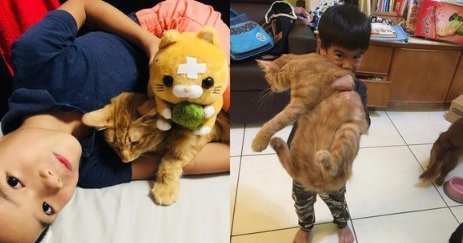 后脑勺好闻吗? 萌娃抱黑猫后脑勺狂吸