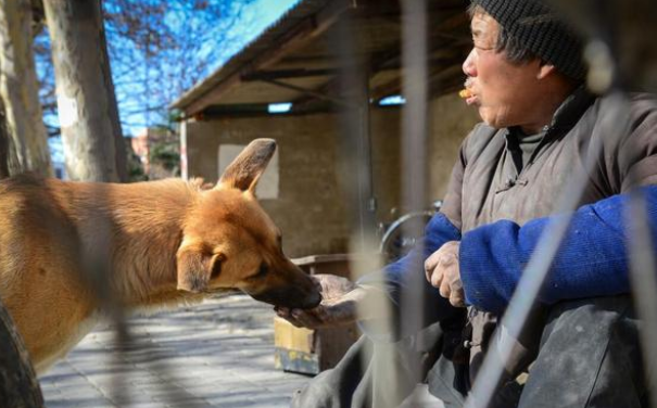 13岁老犬将被主人卖到狗肉馆，有人想收养，它却不愿离开