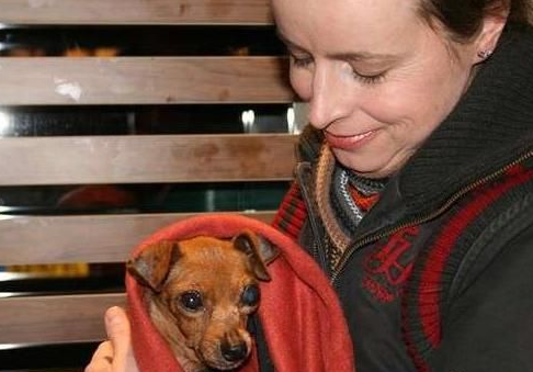 繁殖犬被关小笼子中12年终于得救 却失去双眼