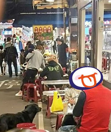 黑狗沿桌讨饭超专业 吃完一轮再重头来过 黑狗沿桌讨饭超专业 吃完一轮再重头来过