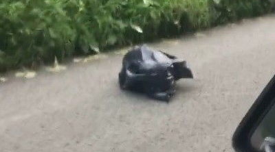 小狗被当垃圾丢弃 幸遇好心人重获新生