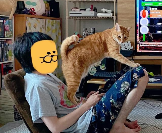 橘猫为了帮主人戒游戏，竟做出这种事...感觉好有味道啊