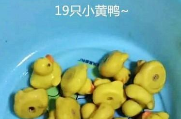 狗狗不断恶心呕吐，女人赶忙送到医院，查验后女人猛然傻眼了