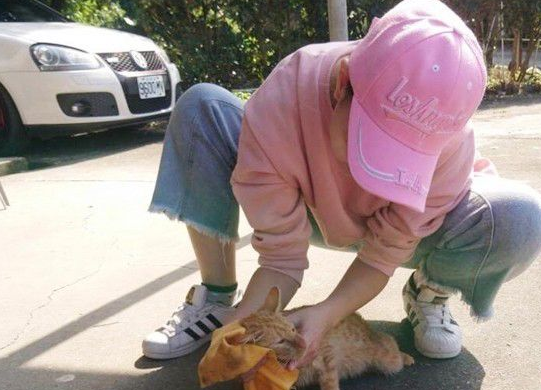 浪喵因为太缺乏警戒心 不断遭逢血光之灾