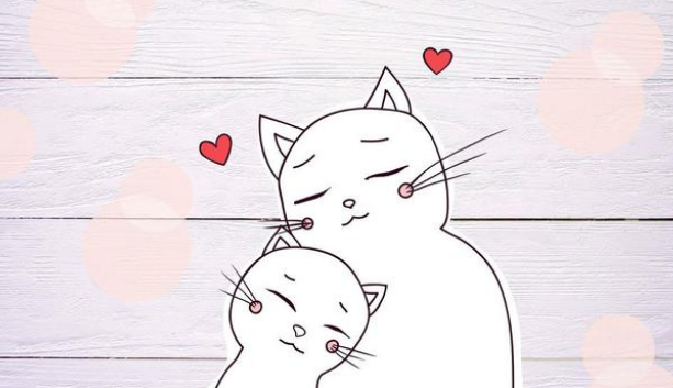 铲屎官遛猫时，家猫竟对流浪猫一见钟情，原地苦等几小时