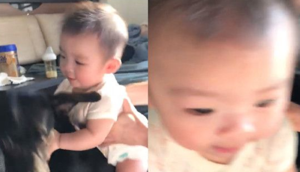 萌片录到一半时 坐骑汪超淡定将妹妹载走! 萌片录到一半时 坐骑汪超淡定将妹妹载走!