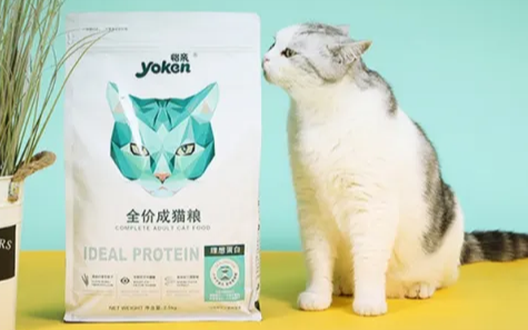 怡亲猫粮是哪里生产的 怡亲猫粮是哪里生产的