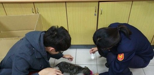 5只小黑狗遭双脚狂甩还乱打 老翁瞎扯训练小狗 5只小黑狗遭双脚狂甩还乱打 老翁瞎扯训练小狗