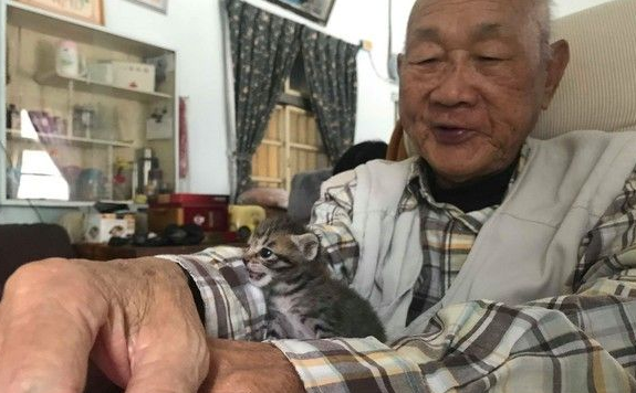 双双怕猫的阿公和阿嬷 最终还是被猫被收服