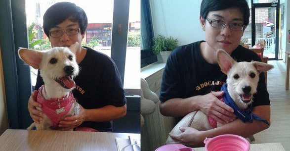 姐妹俩迎接爸爸回家 马麻吃醋没有特别礼遇 姐妹俩迎接爸爸回家 马麻吃醋没有特别礼遇