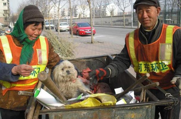 城市最美清洁工遇到流浪小动物会发生一些什么样的故事呢? 城市最美清洁工遇到流浪小动物会发生一些什么样的故事呢?