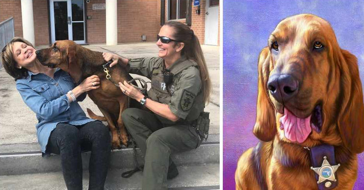 心痛！从事追踪失踪儿童和痴呆患者的猎犬被癌症夺去生命