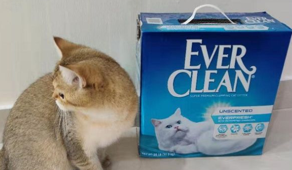ever clean猫砂可以用多久 ever clean猫砂可以用多久