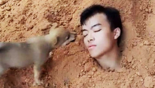 主人想逗狗狗玩，竟将自身埋进土中，但它不由自主的行为，令人泪崩