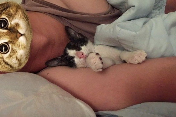 好奇！给妈妈敷猫面膜的比比是为了安全感么