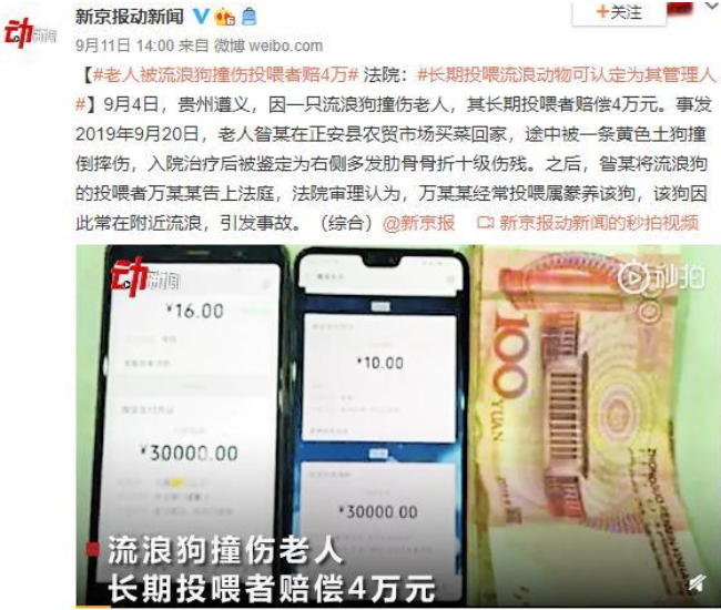 「流浪狗肇事,投喂者赔4万」,再次让中国道德水平严重倒退