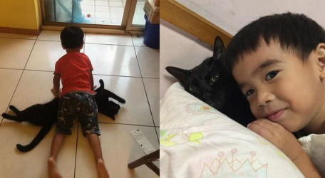 后脑勺好闻吗? 萌娃抱黑猫后脑勺狂吸