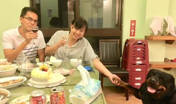 美女摸好开心、男生摸心已死 狗狗完美诠释经典表情 美女摸好开心、男生摸心已死 狗狗完美诠释经典表情