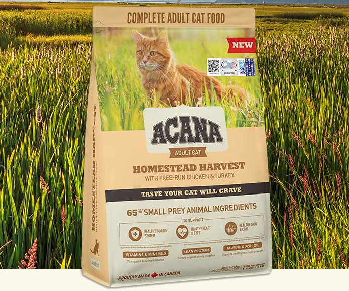 爱肯拿猫粮哪个系列最好 爱肯拿猫粮哪个系列最好