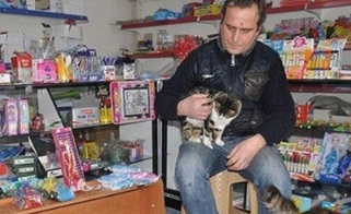 暴雪中收留流浪猫遭抗议 杂货店老板霸气回应