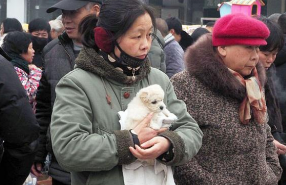 猫包被丢宠物店门口，主人留纸条求寄养，店主看完后傻眼：猫在哪