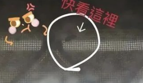 身型相距100倍，见到苍蝇却那么怕！