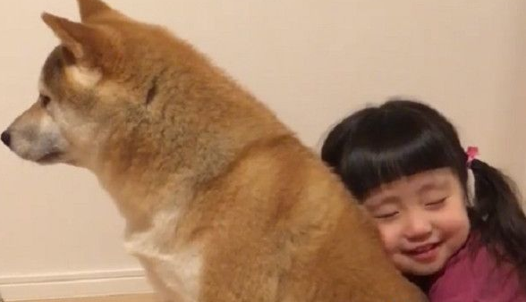 最爱的就是哥哥! 女孩紧抱柴哥哥超幸福画面 最爱的就是哥哥! 女孩紧抱柴哥哥超幸福画面