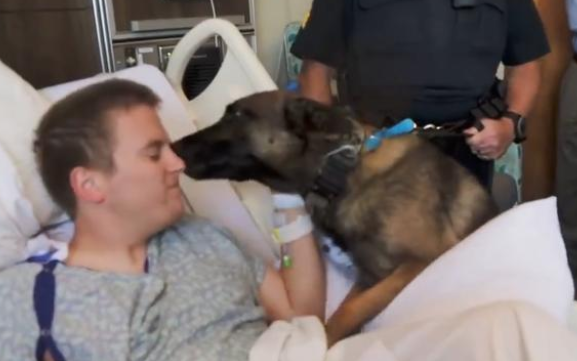 警犬3天不见搭档，激动得一直想扑上去！