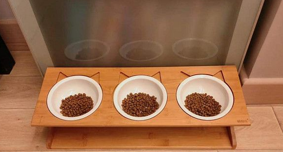 猫主子展现连连看吃法 让猫奴当场傻暴眼 猫主子展现连连看吃法 让猫奴当场傻暴眼
